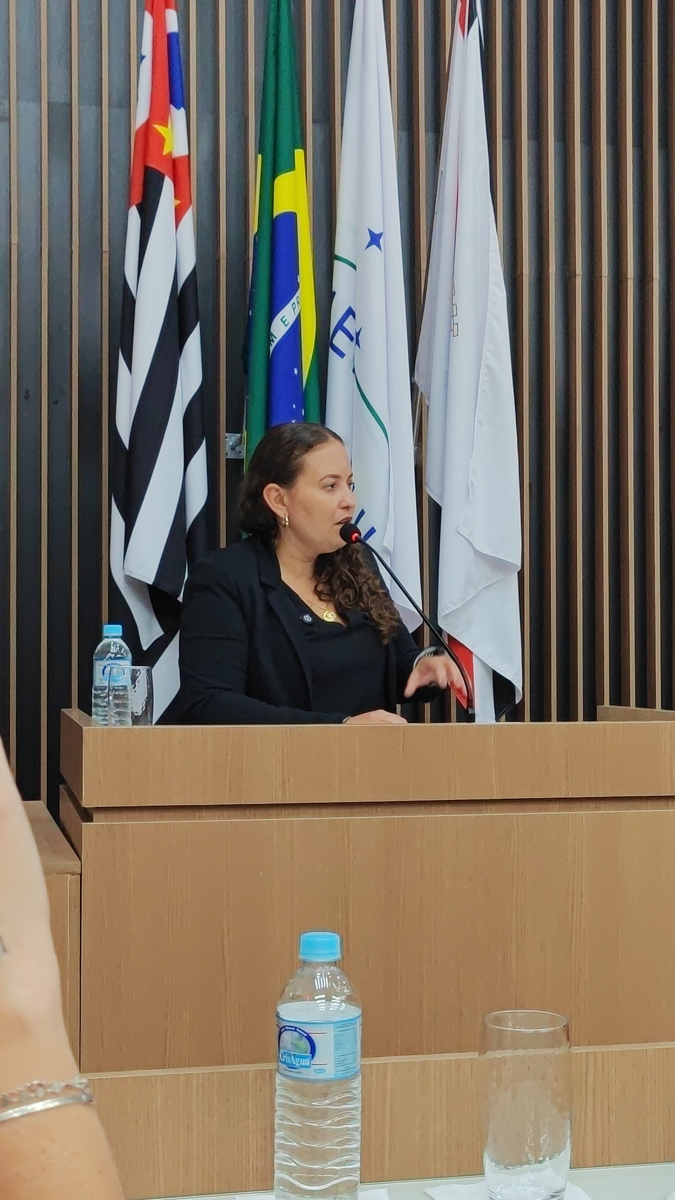 Visualize fotos 24/11/2025 43ª Sessão Ordinária